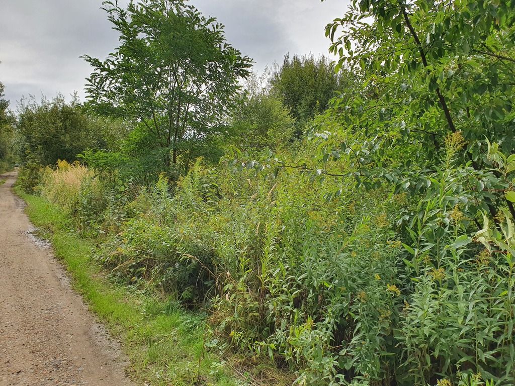 Działka inwestycyjna Wrocław Strachowice, ul. Jerzmanowska. Zdjęcie 12