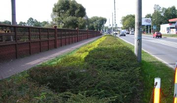 Działka inwestycyjna Milanówek, ul. Królewska 3