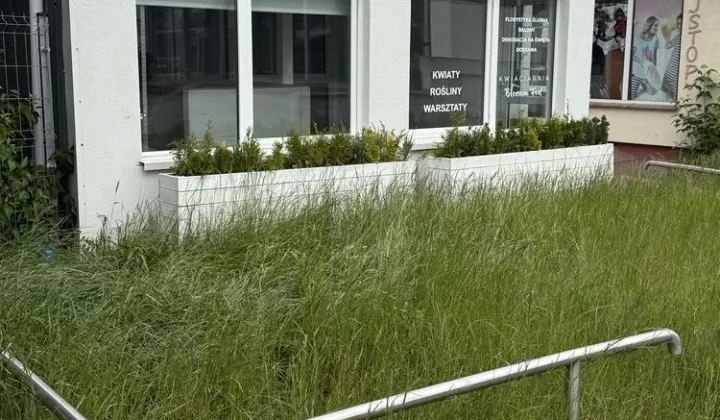 Lokal Bydgoszcz Bartodzieje Wielkie