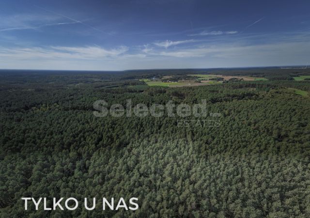 dom wolnostojący, 6 pokoi Kaliska. Zdjęcie 28