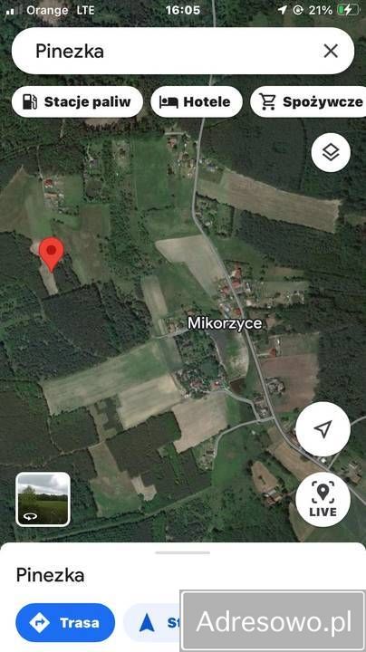 Działka siedliskowa Mikorzyce. Zdjęcie 4