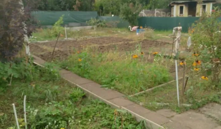 Działka rod Gdańsk Zaspa, ul. Franciszka Hynka