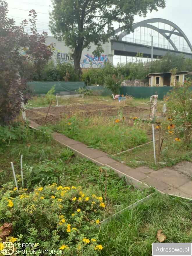 Działka rod Gdańsk Zaspa, ul. Franciszka Hynka