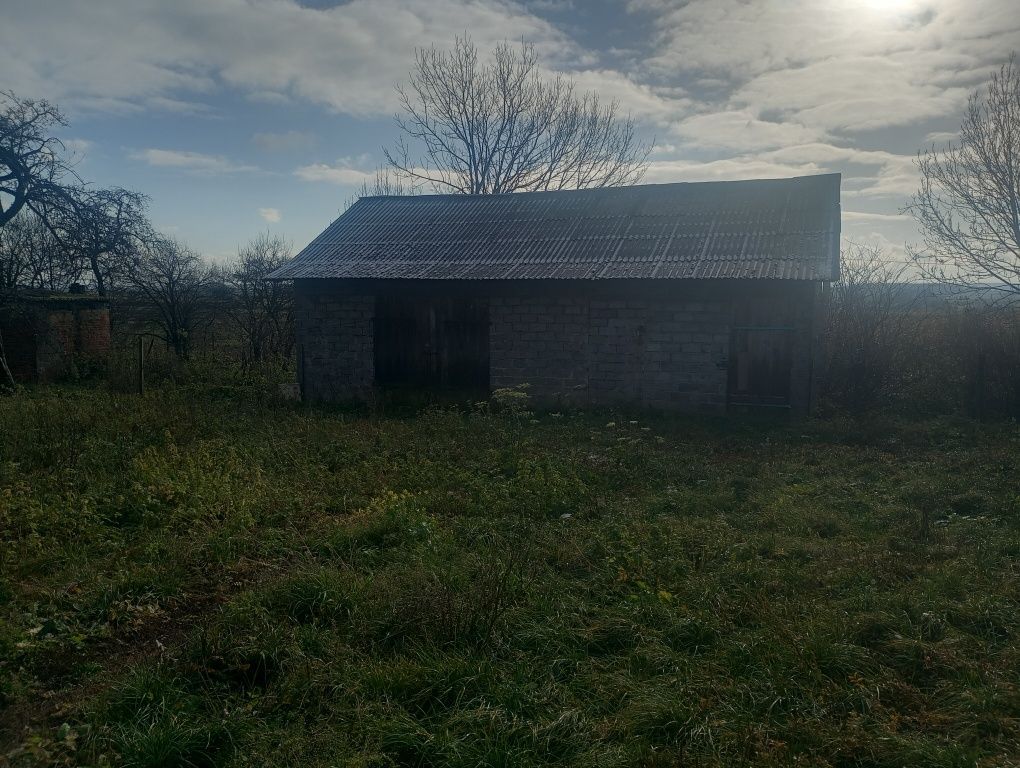 gospodarstwo Buk. Zdjęcie 5