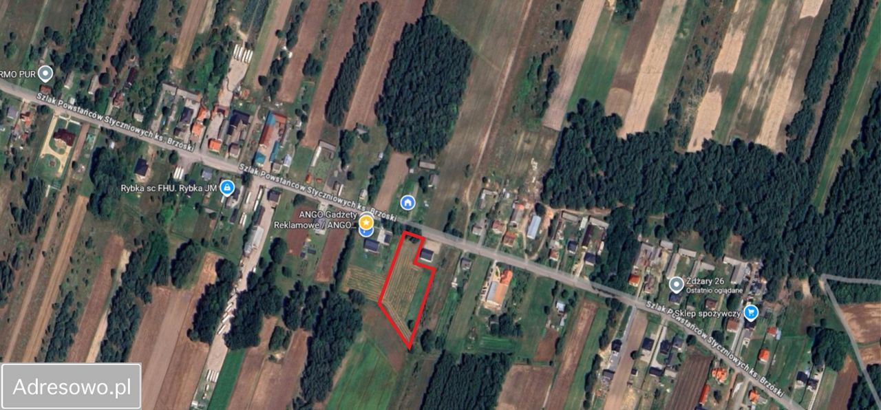 Działka budowlana Żdżary. Zdjęcie 3