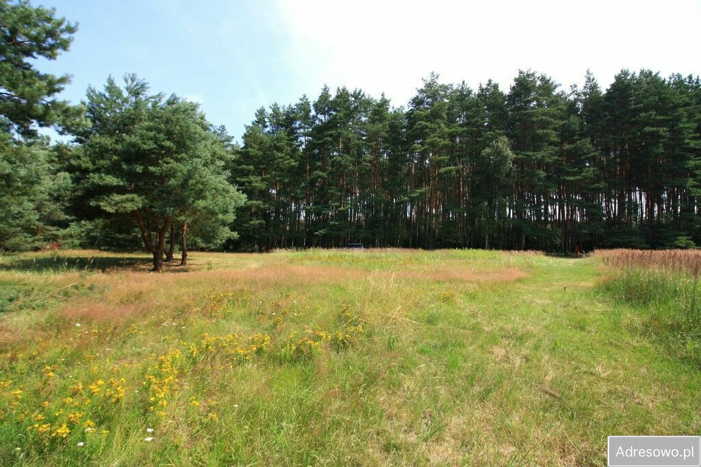 Działka rolna Szczecin Wielgowo, ul. Żywiczna. Zdjęcie 8