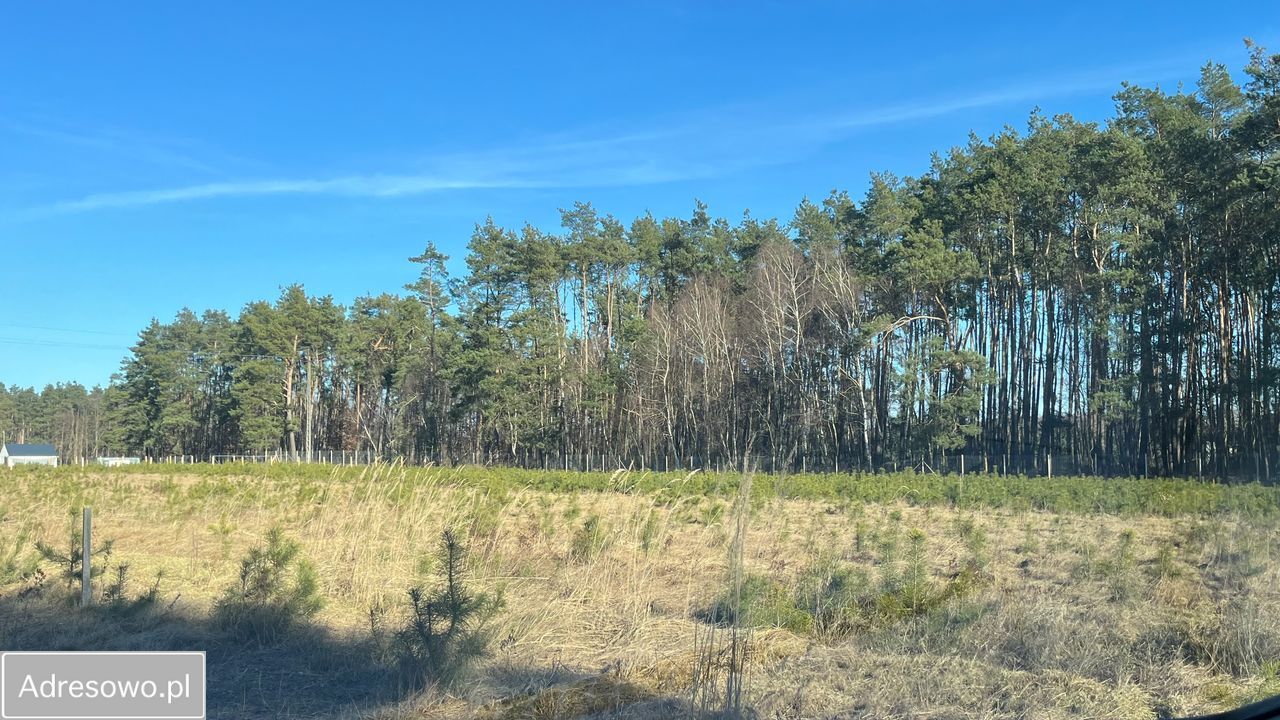 Działka budowlana Imielno. Zdjęcie 2