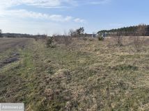 Działka rolna Sątopy. Zdjęcie 2