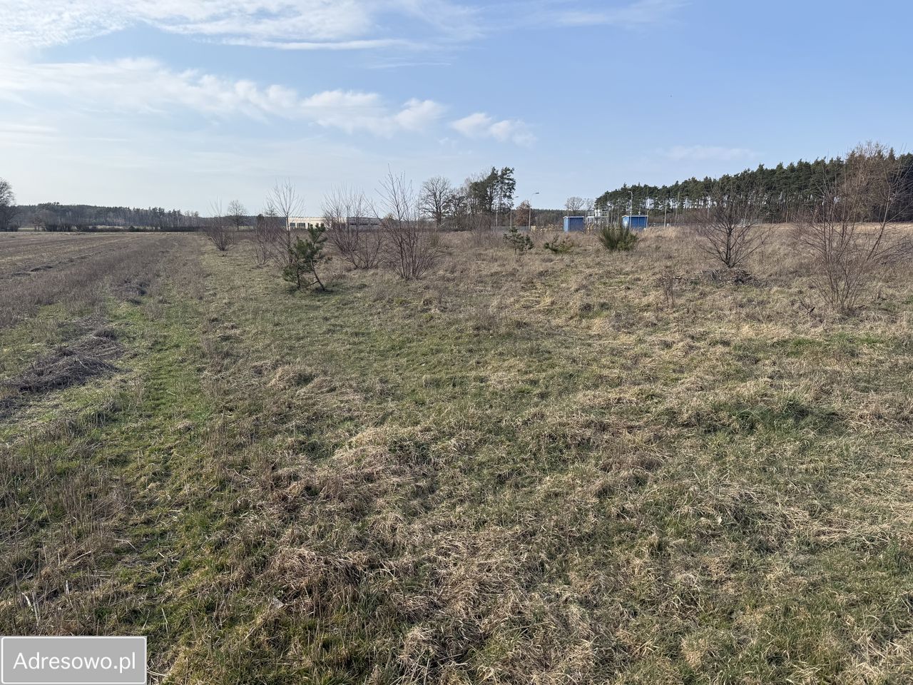 Działka rolna Sątopy. Zdjęcie 3