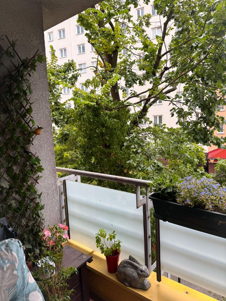 Mieszkanie 2-pokojowe Warszawa Mokotów, ul. Wincentego Rzymowskiego. Zdjęcie 8
