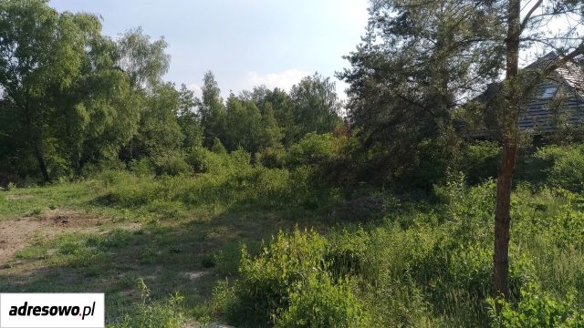 Działka budowlana Dąbrowa Górnicza Ząbkowice. Zdjęcie 4