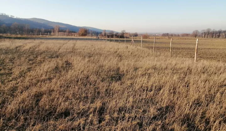 Działka budowlana Jodłownik