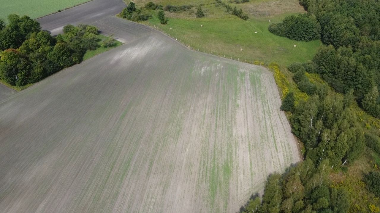 Działka rolna Wielkopole. Zdjęcie 7