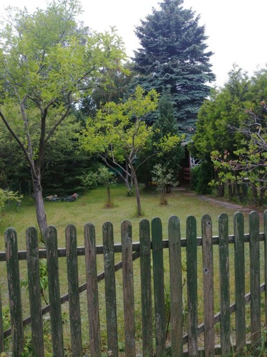 Działka rod Gdańsk. Zdjęcie 2