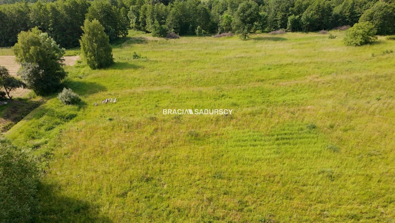 Działka inwestycyjna Podstolice. Zdjęcie 11