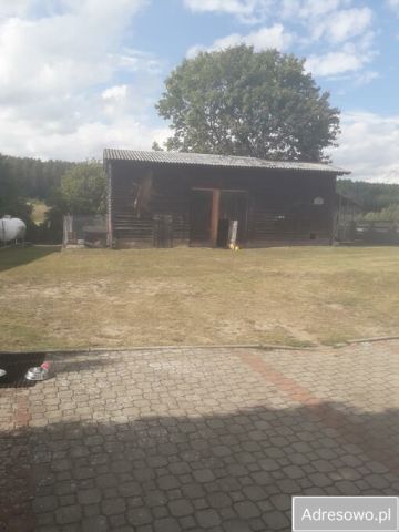 dom wolnostojący, 5 pokoi Pnie. Zdjęcie 1