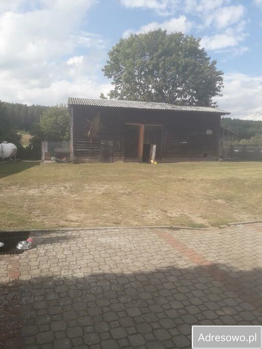 dom wolnostojący, 5 pokoi Pnie