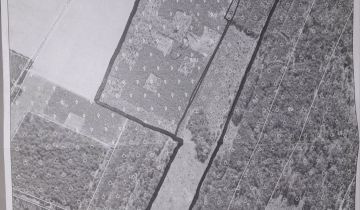 Działka leśna Kobylaki-Czarzaste