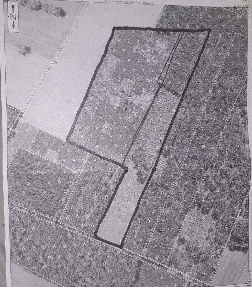 Działka leśna Kobylaki-Czarzaste