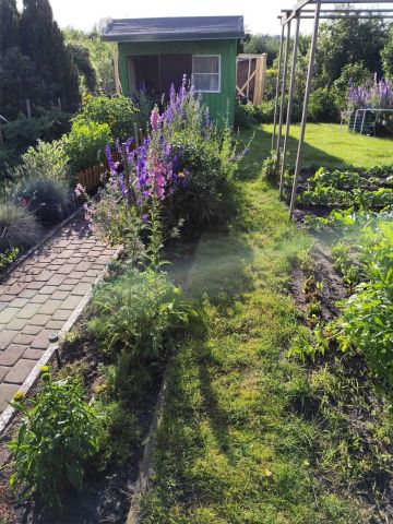 Działka rod Olsztyn Zatorze. Zdjęcie 1