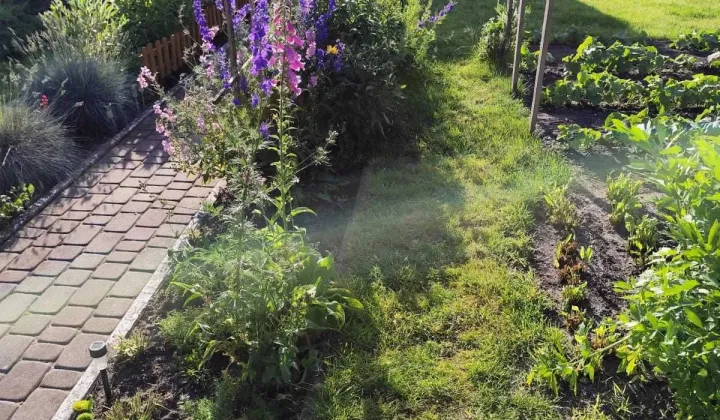 Działka rod Olsztyn Zatorze