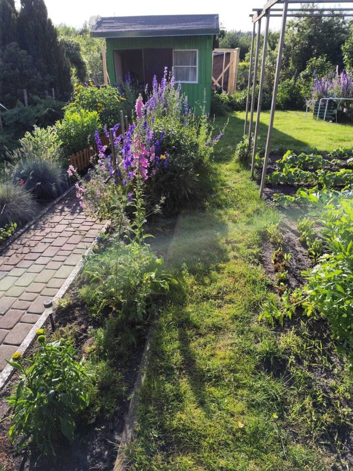 Działka rod Olsztyn Zatorze. Zdjęcie 1