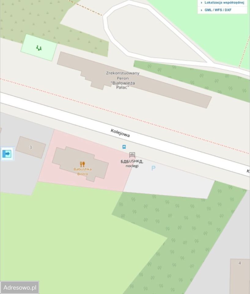 Lokal Białowieża. Zdjęcie 6