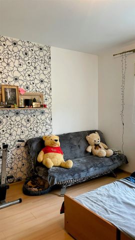 dom wolnostojący, 7 pokoi Tylicz. Zdjęcie 7