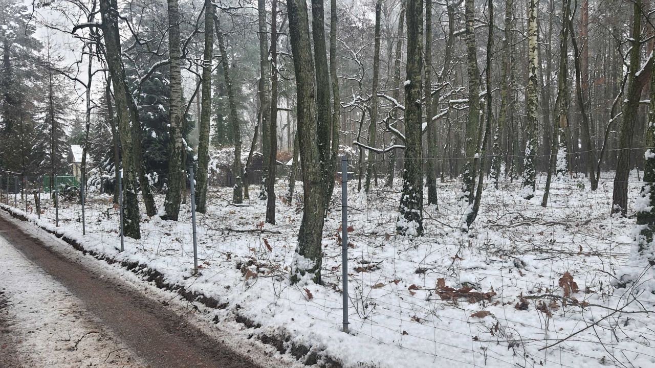 Działka budowlana Zofiówka, ul. Cienista. Zdjęcie 8