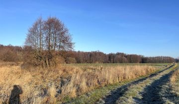 Działka siedliskowa Zaborowo