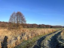 Działka siedliskowa Zaborowo. Zdjęcie 1