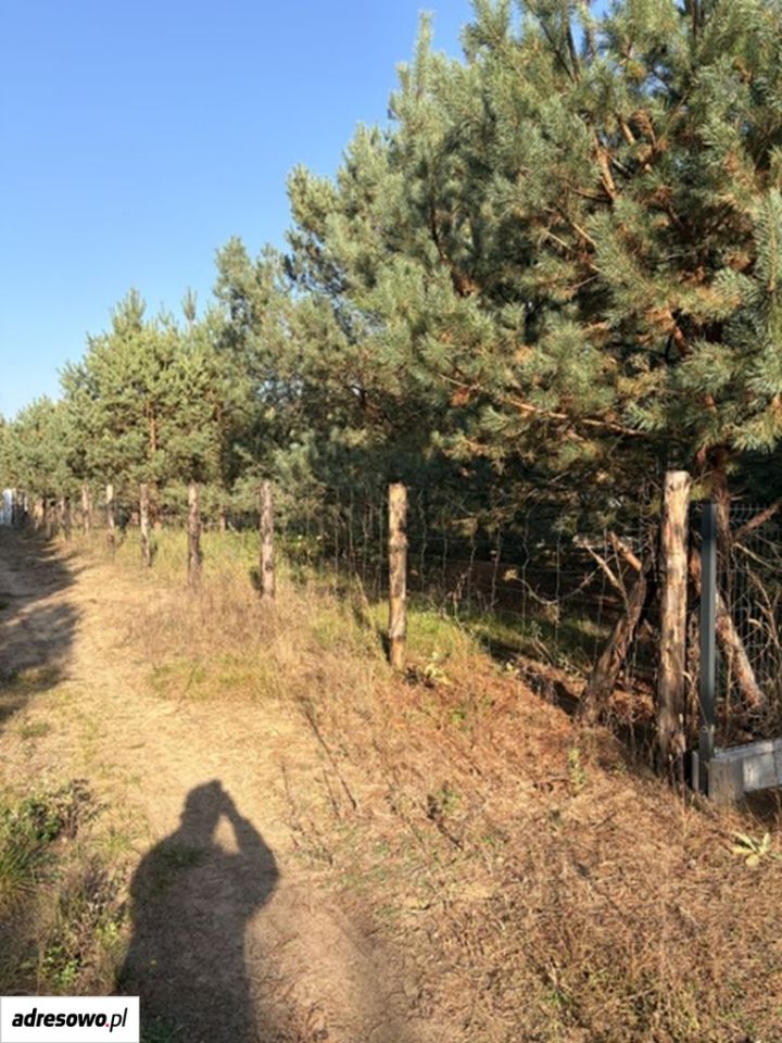 Działka budowlana Zambski Kościelne. Zdjęcie 17