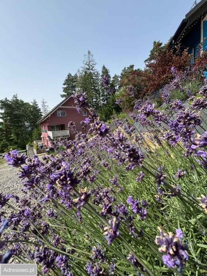 Nieruchomość komercyjna Wisła, ul. Spacerowa. Zdjęcie 3