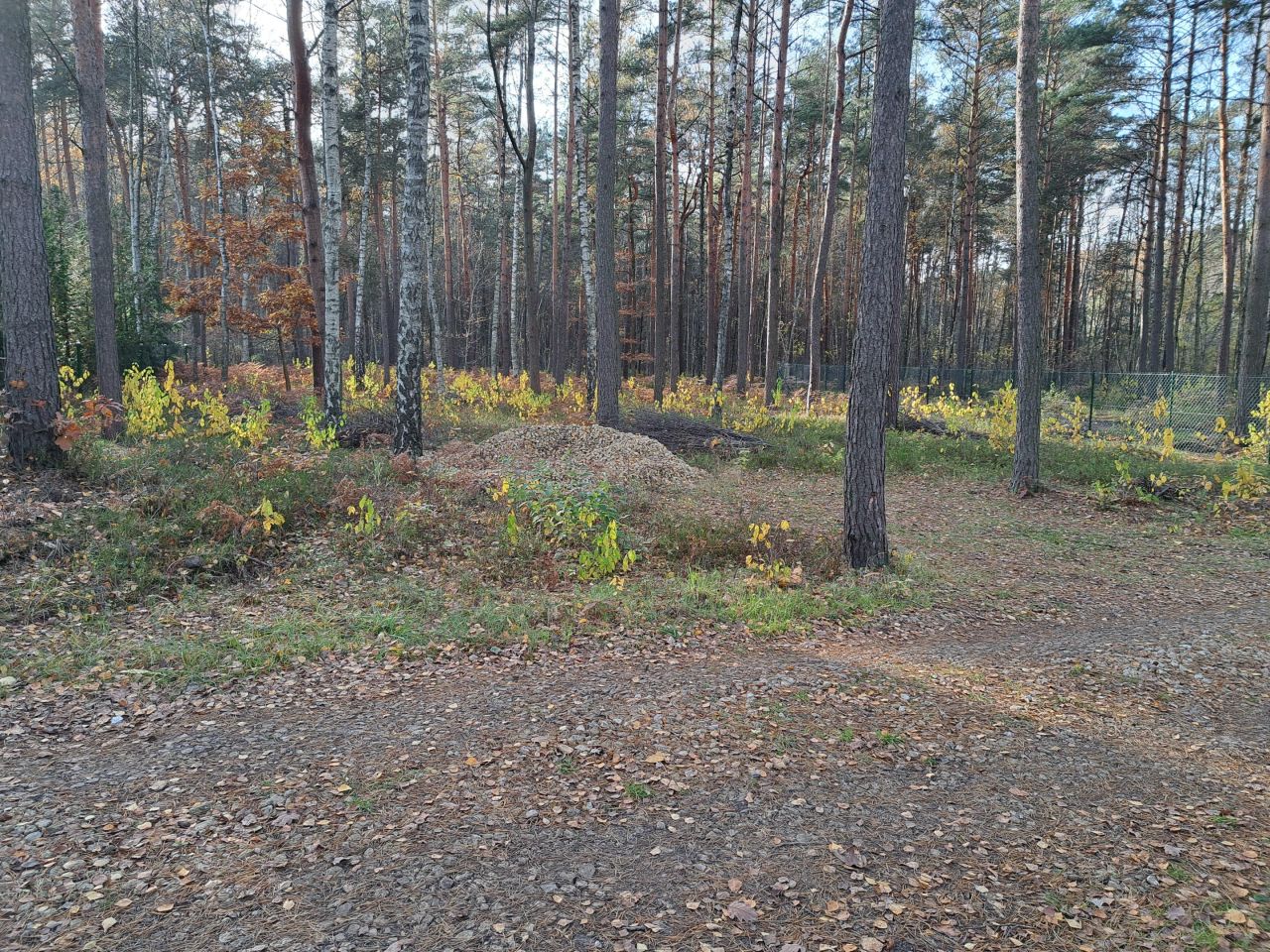 Działka budowlana Żarki-Letnisko, ul. Okrężna. Zdjęcie 6