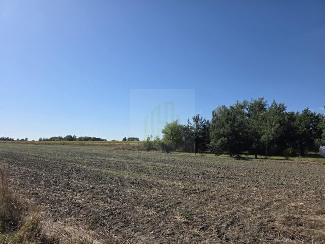 Działka budowlana Nowe Faszczyce. Zdjęcie 5