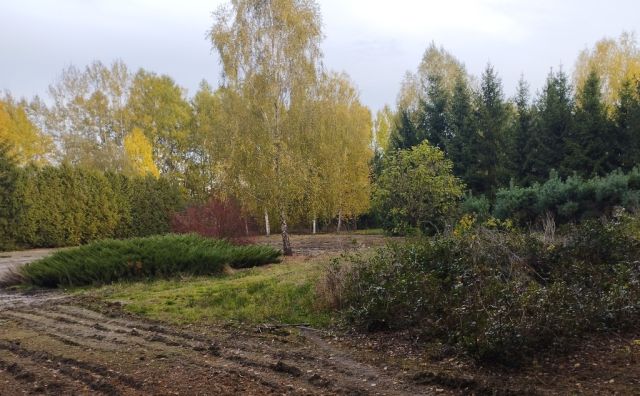 Działka budowlana Żelechów. Zdjęcie 1