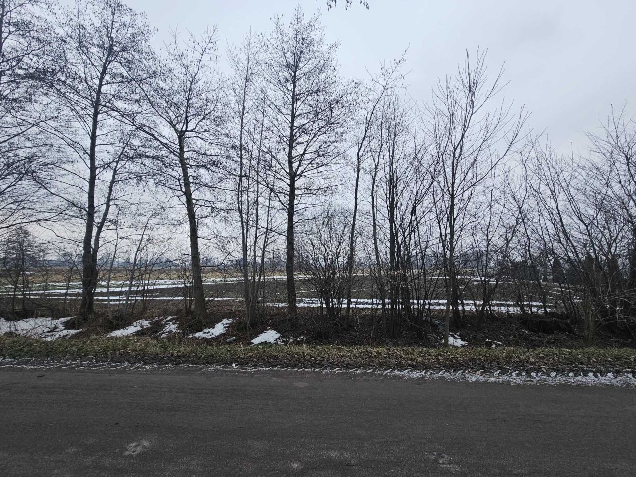 Działka rolno-budowlana Góra. Zdjęcie 8