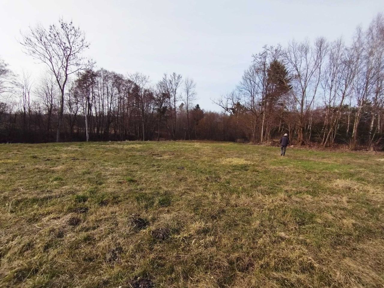 Działka rolno-budowlana Pasieki. Zdjęcie 4