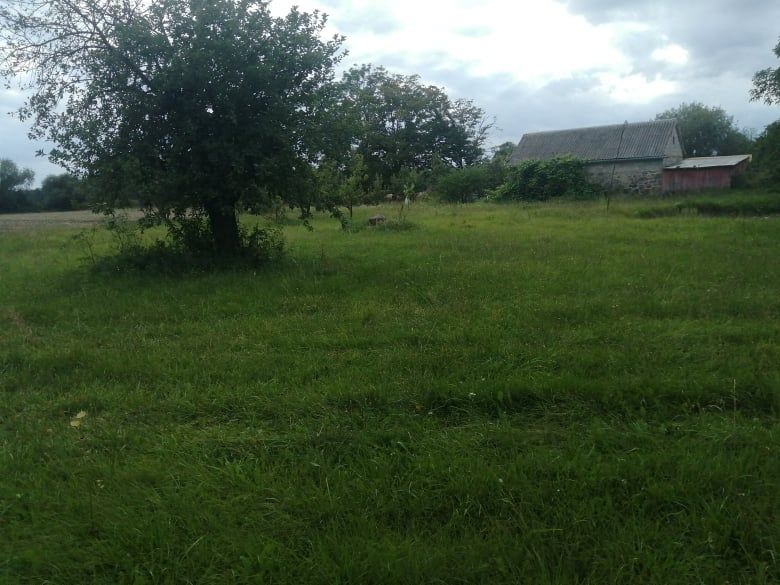 Działka budowlana Pomocnia. Zdjęcie 3