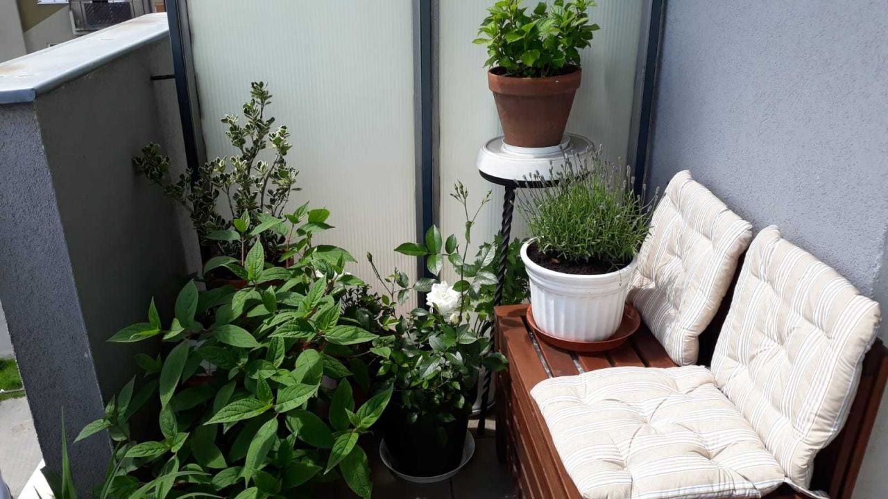 Mieszkanie 3-pokojowe Kraków Kurdwanów, ul. Pagórkowa. Zdjęcie 6