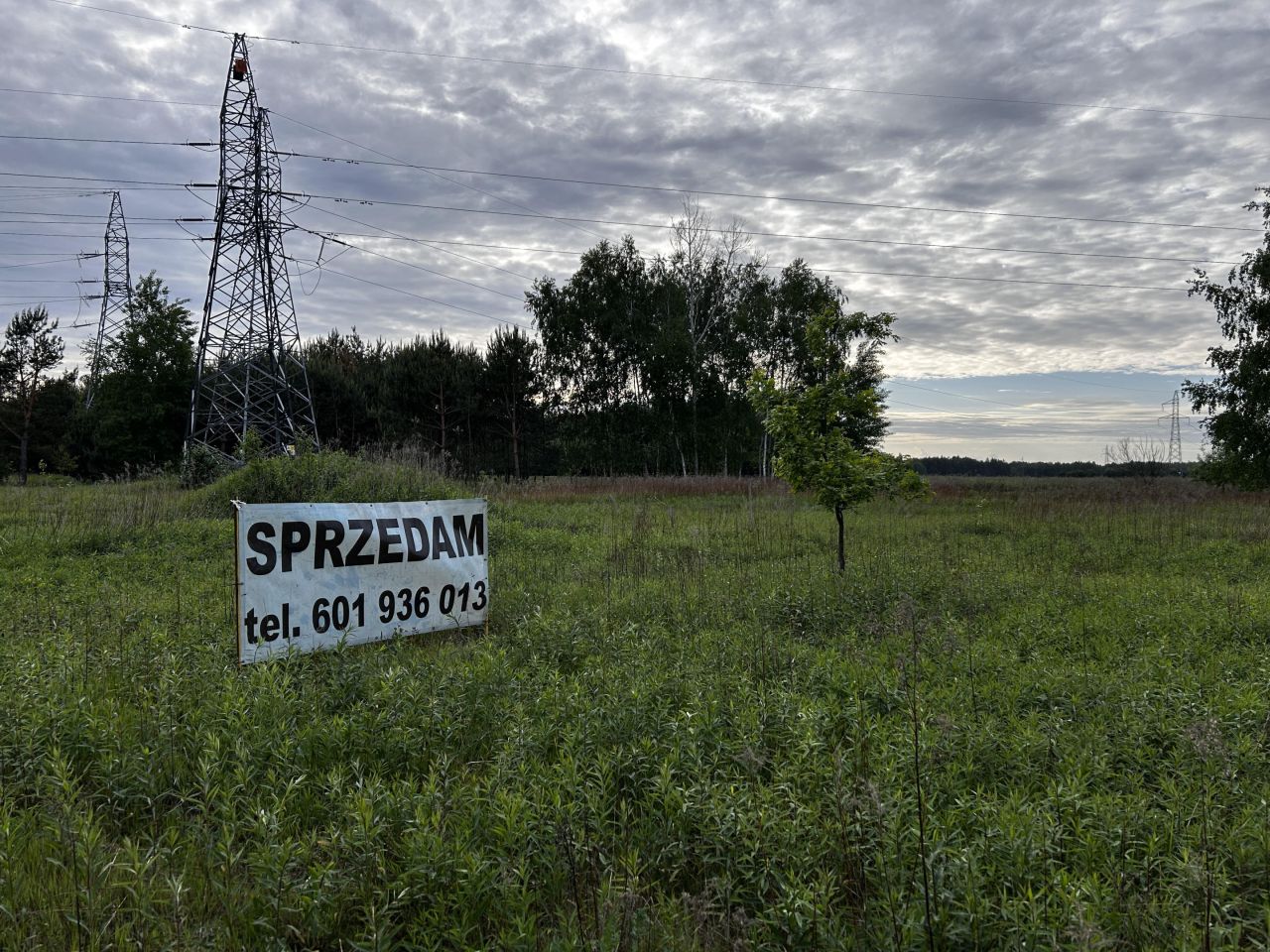 Działka budowlana Wylewa Kaplińskie. Zdjęcie 4