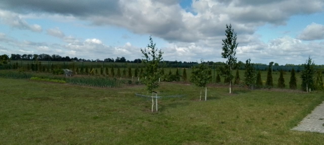 Działka budowlana Łoje. Zdjęcie 4