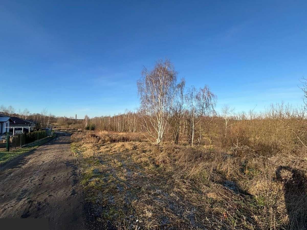 Działka budowlana Lubsko, ul. Jarzębinowa. Zdjęcie 4