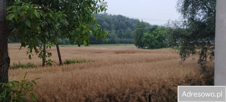 gospodarstwo, 4 pokoje Olszanka. Zdjęcie 4