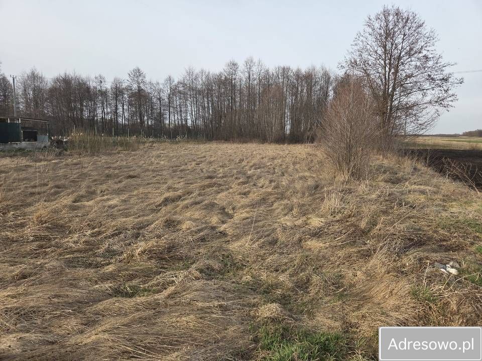 Działka budowlana Kościołków. Zdjęcie 1
