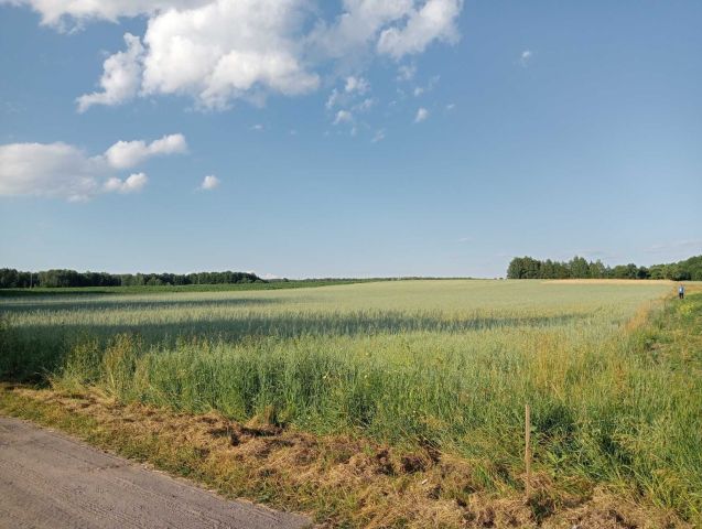 Działka siedliskowa Zawady. Zdjęcie 1