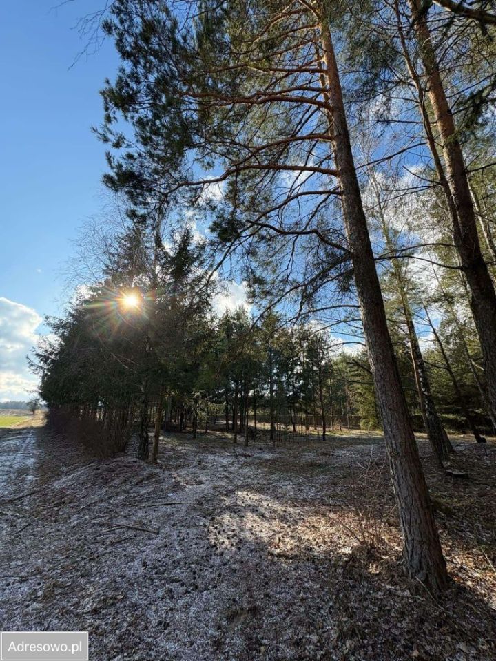Działka budowlana Białobrzeg Dalszy, ul. Spokojna. Zdjęcie 3