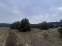 Działka budowlana Antoniewo. Zdjęcie 2