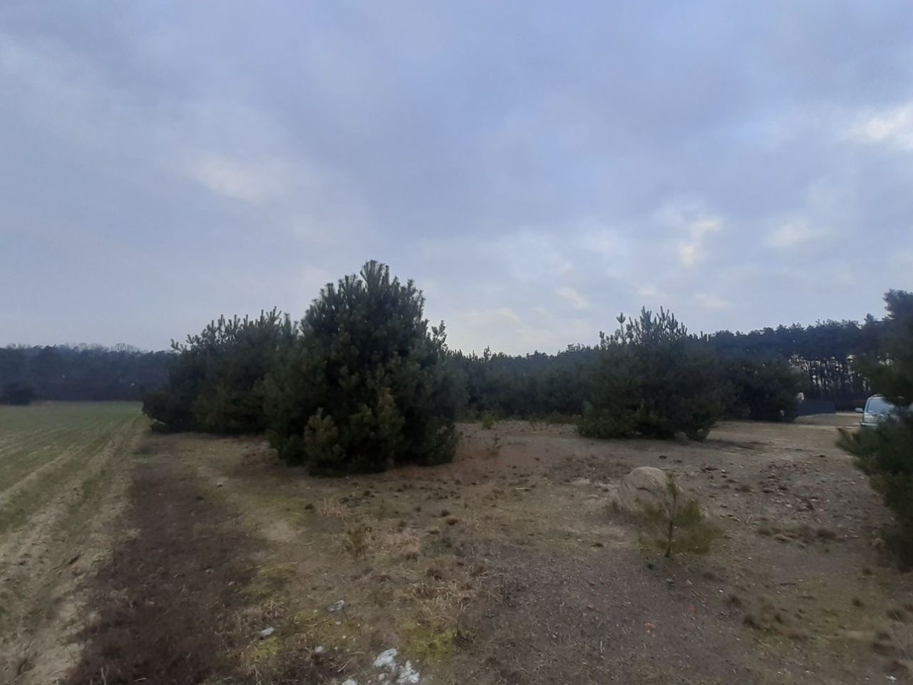 Działka budowlana Antoniewo. Zdjęcie 3