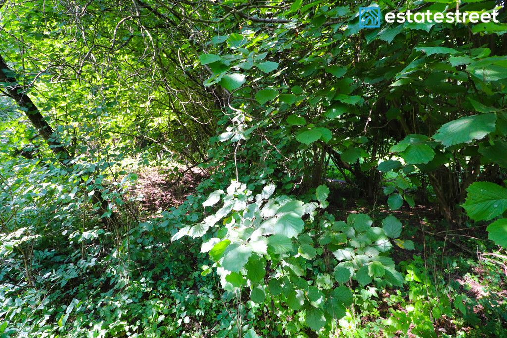 Działka budowlana Nielepice. Zdjęcie 11